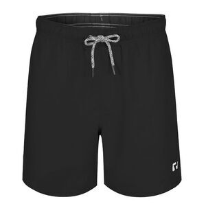 RIPT Essentials Mens Swim Shorts / Black
